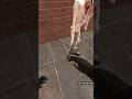 SCP O96 HUNTS ME IN MAZE #shorts | TronG