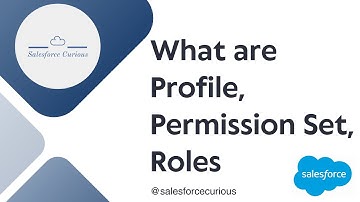 Profiles, Roles, Permission Set, Public Group in Salesforce