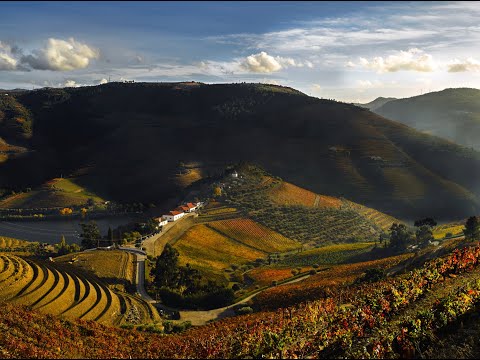 Passion For Douro: