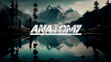 Anatomy - NextRo | 3D Bass Music | NextRo | BassBoosted