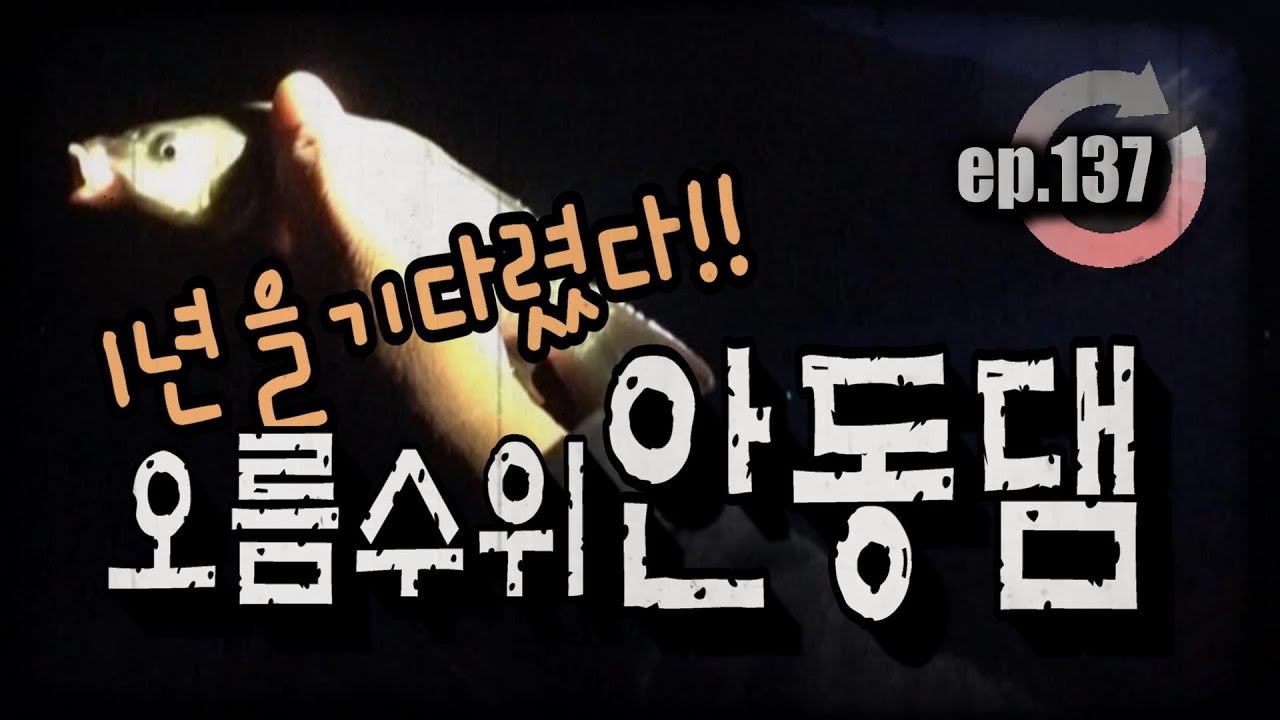 [ep.137] 육초대에 바글바글...오름수위 안동댐 낚시!! #안동댐 #오름수위 #육초낚시