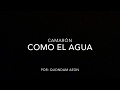 Como El Agua Camarón Letra Como El Agua Camarón Letra