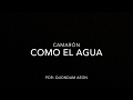 Como el agua - Camarón (letra)