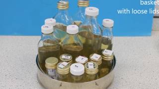 Sterilising using a pressure cooker, new guidance on autoclave bags.