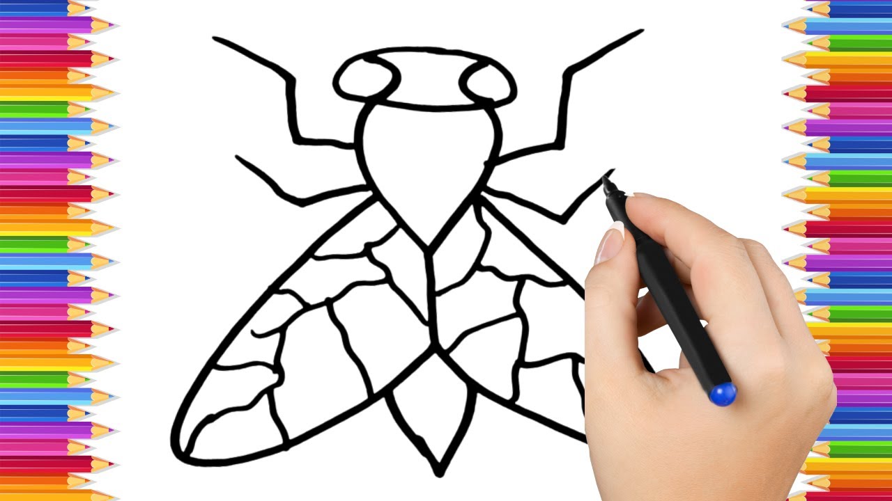 How To Draw cute  fly Drawing, Painting & Coloring For Kids and Toddlers_ Child Art 🐋🌈🎨