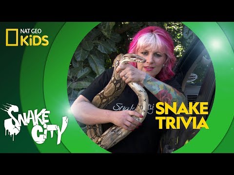 Snake Trivia | Snake City