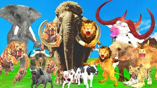 10 Mammoth Elephant Vs 10 Giant Tiger Attack Cow Buffalo Lion Chase Tiger Cub Save By Woolly Mammoth
