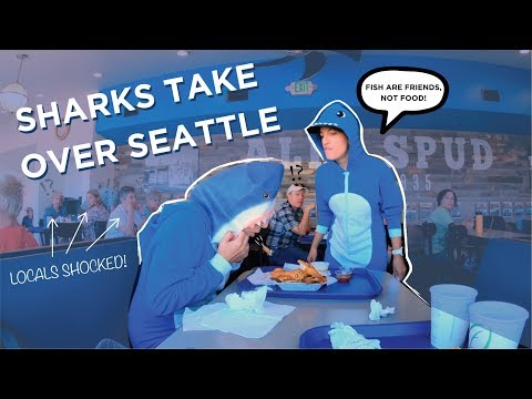 shark-week-2019---sharks-go-wild-at-alki-beach-in-seattle!-prank-locals-with-epic-comedy!