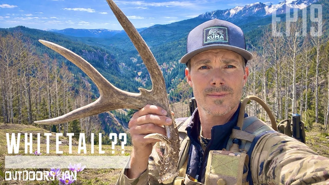 WHITETAIL OR MULE DEER? This Shed Had Me Guessing…EP:19 Exploring the Outdoors