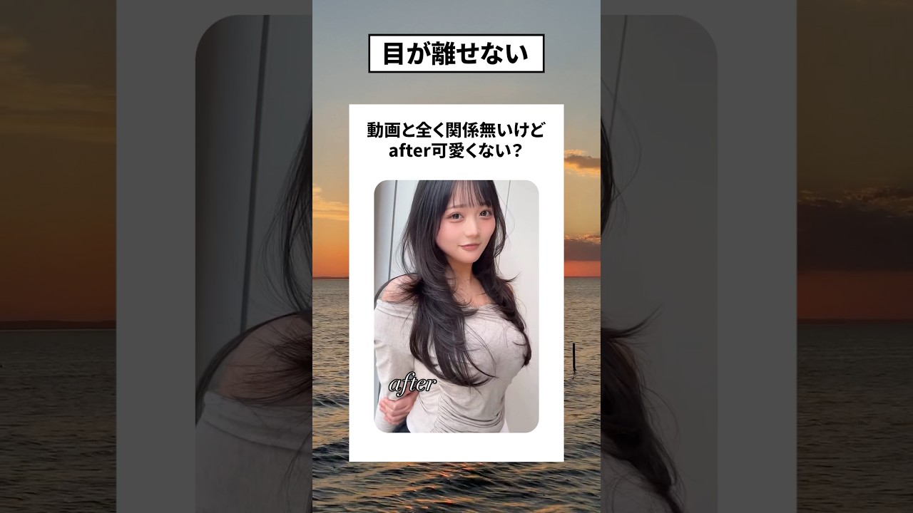目が離せない