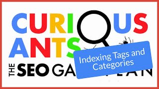 Best Practices for Indexing Tags and Categories in WordPress
