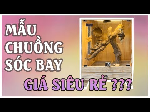 Video MẪU CHUỒNG SÓC BAY FULL SET UP GIÁ SIÊU RẺ ??? ||... - youtube