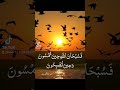 سورة الروم بصوت الشيخ فارس عباد