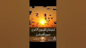 سورة الروم بصوت الشيخ فارس عباد