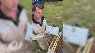 Varroa Mite Treatment for Beginners | How to Use Bayvarol, Apitraz & Formic Pro.