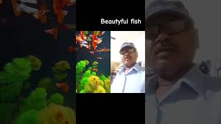 #May 22, 2026#shortvideo #fish #kingfishfish97 #fishing #streetfood #fishspecies #vlog #kingfish