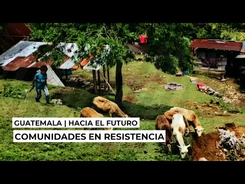 comunicación interauricular Guatemala | Comunidades en resistencia hacia el futuro