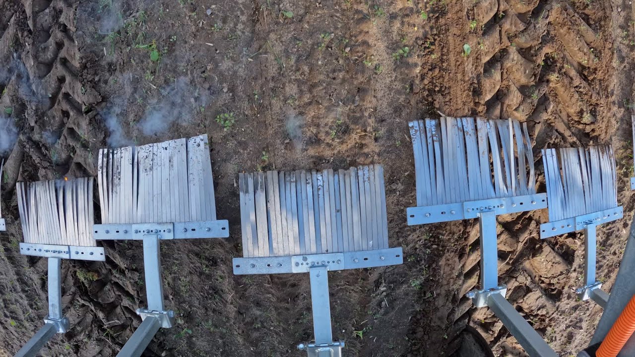 Frøavl: Hvordan bekæmper vi ukrudt i afgrøderækken nu og i fremtiden?