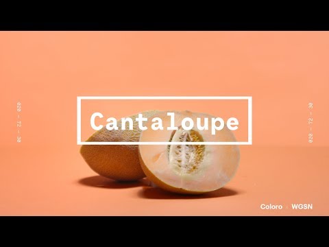 Coloro x WGSN key colors 2020: Cantaloupe