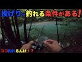【バス釣り】最高の条件で釣りしたら楽しすぎた! その条件とは?