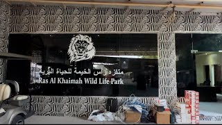 RAS AL KHAIMAH WILD LIFE PARK | UAE | MANIKA BENTEQUATRO