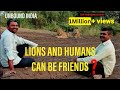 HUMANS AND GIR ASIATIC LIONS ARE RELATIVES ?