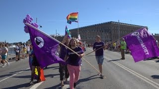 Piratpartiet i Prideparaden Stockholm 2013-08-03