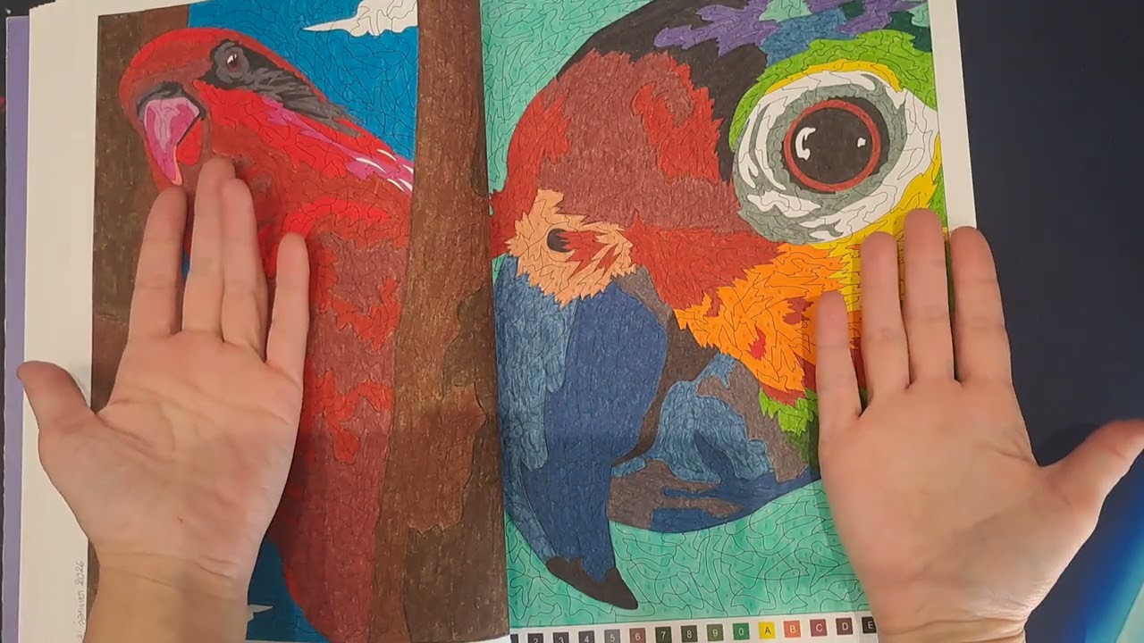 [COLO] TERMINES - Janvier & Février