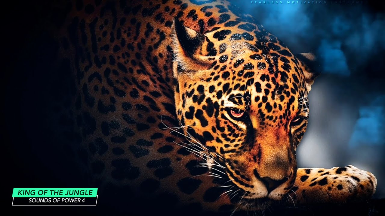 KING OF THE JUNGLE | Beast Mode Music Mix by Fearless Motivation KING OF THE JUNGLE | Beast Mode Music Mix by Fearless Motivation