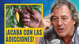 IBOGAÍNA: El Alucinógeno Que No Conoces y Quieren Ocultar