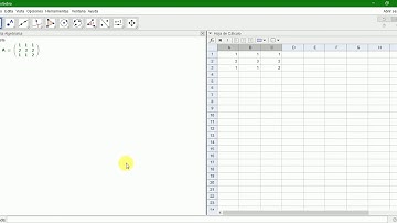Determinante e inversa de una matriz. (Geogebra)