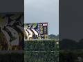 [天皇賞春]長い写真判定 確定の瞬間#クロワデュノール#京都競馬場#天皇賞春#rukiチャンネル#shorts