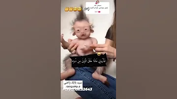 موجودیکه از اشتراک نطفهء شیاطین در هنگام لقاح نطفهء انسان شکل گرفته فرزند مشترک جن و انسان 