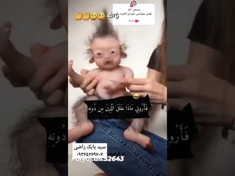 موجودیکه از اشتراک نطفهء شیاطین در هنگام لقاح نطفهء انسان شکل گرفته فرزند مشترک جن و انسان