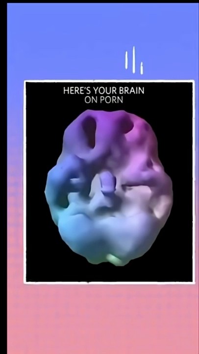 How Porn Damages your BRAIN