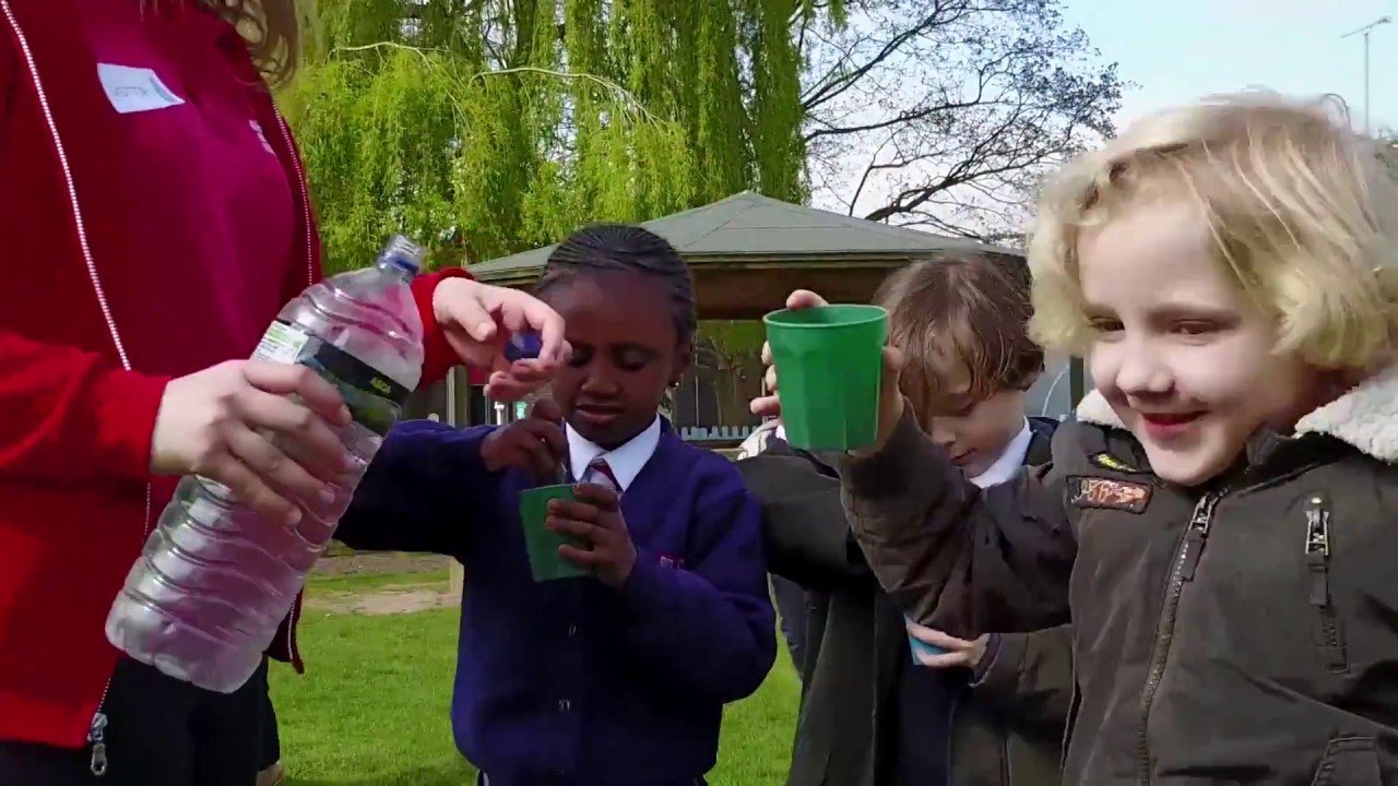 video phone beyonce mp3 Wild about learning in Coventry & Warwickshire thanks to People’s Postcode Lottery