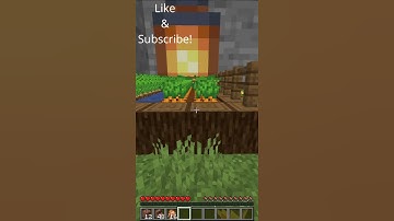 Tiny Non Euclidean Minecraft House.