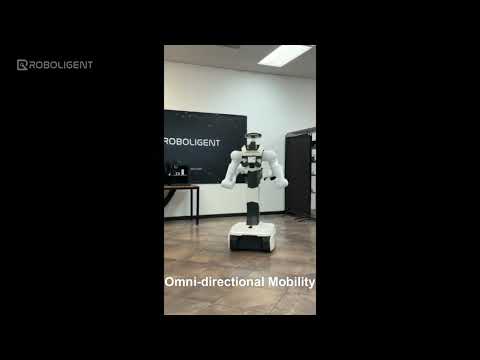 Robin video