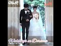 Satoh takeru on drama weddings