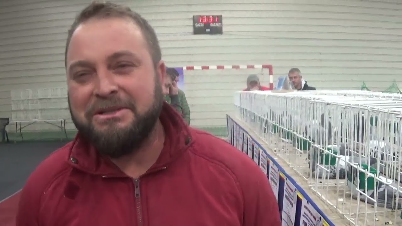 Interviu columbofil dl Ionescu Eugen Prahova Romania 11 ianuarie 2025