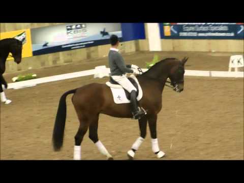 NAF Five Star Winter Dressage Championship 2011