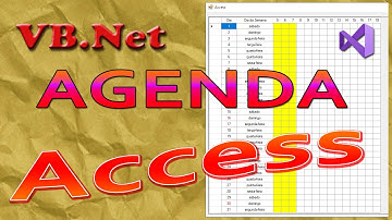DataGridView para uma agenda com banco de dados Access no VB.Net. Vídeo 4/11