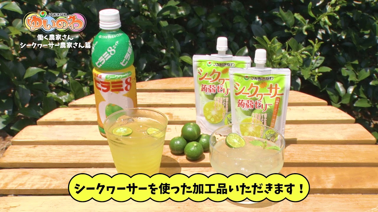 賞味期限間近】シークヮーサー100 500ml 6本入: おきなわ ちゅら島