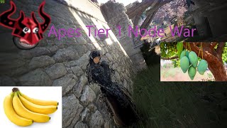 BDO Succession Hashashin Tier 1 Node War