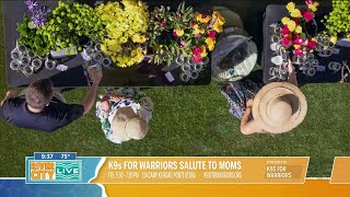 Service Dogs transform Veteran lives at K9s For Warriors