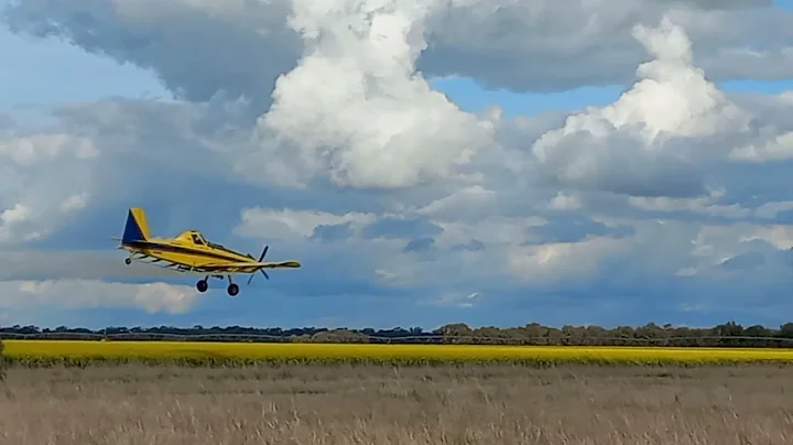 part one of dusting cropping