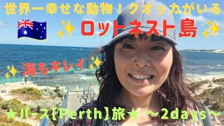西オーストラリア パース旅🇦🇺】世界一幸せな動物「クオッカ」に会い