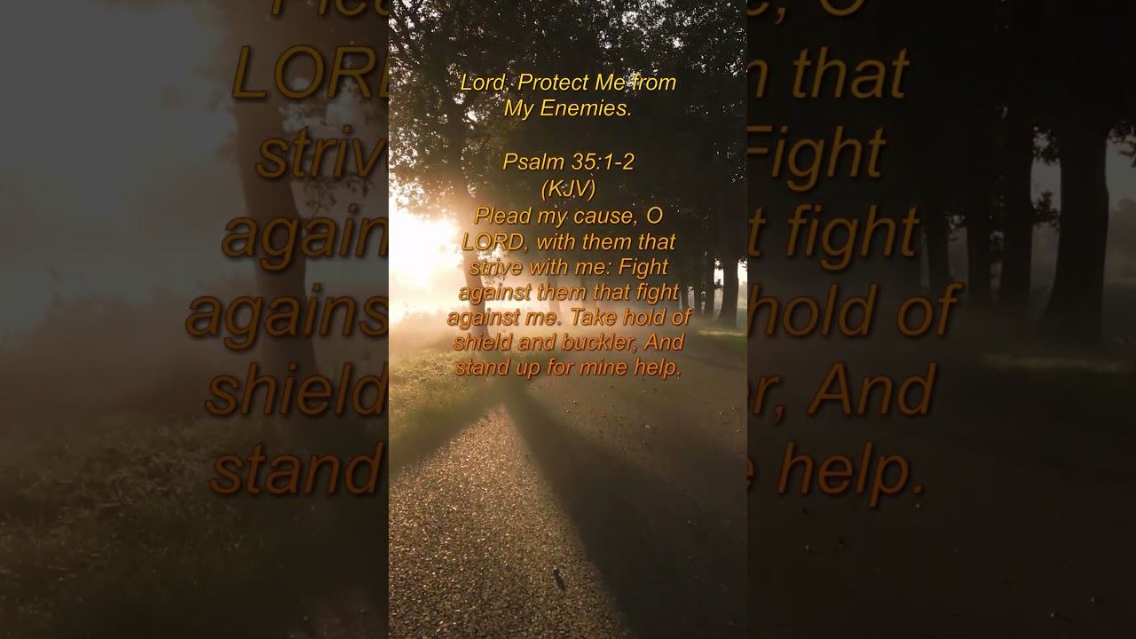 Lord, Protect Me from My Enemies - Psalm 35:1-2 (KJV) - Very Inspiring