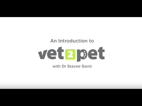 An Introduction to Vet2Pet!