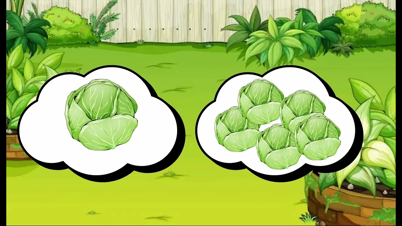 Логопедичне заняття «Овочі» Андрієвська Катерина